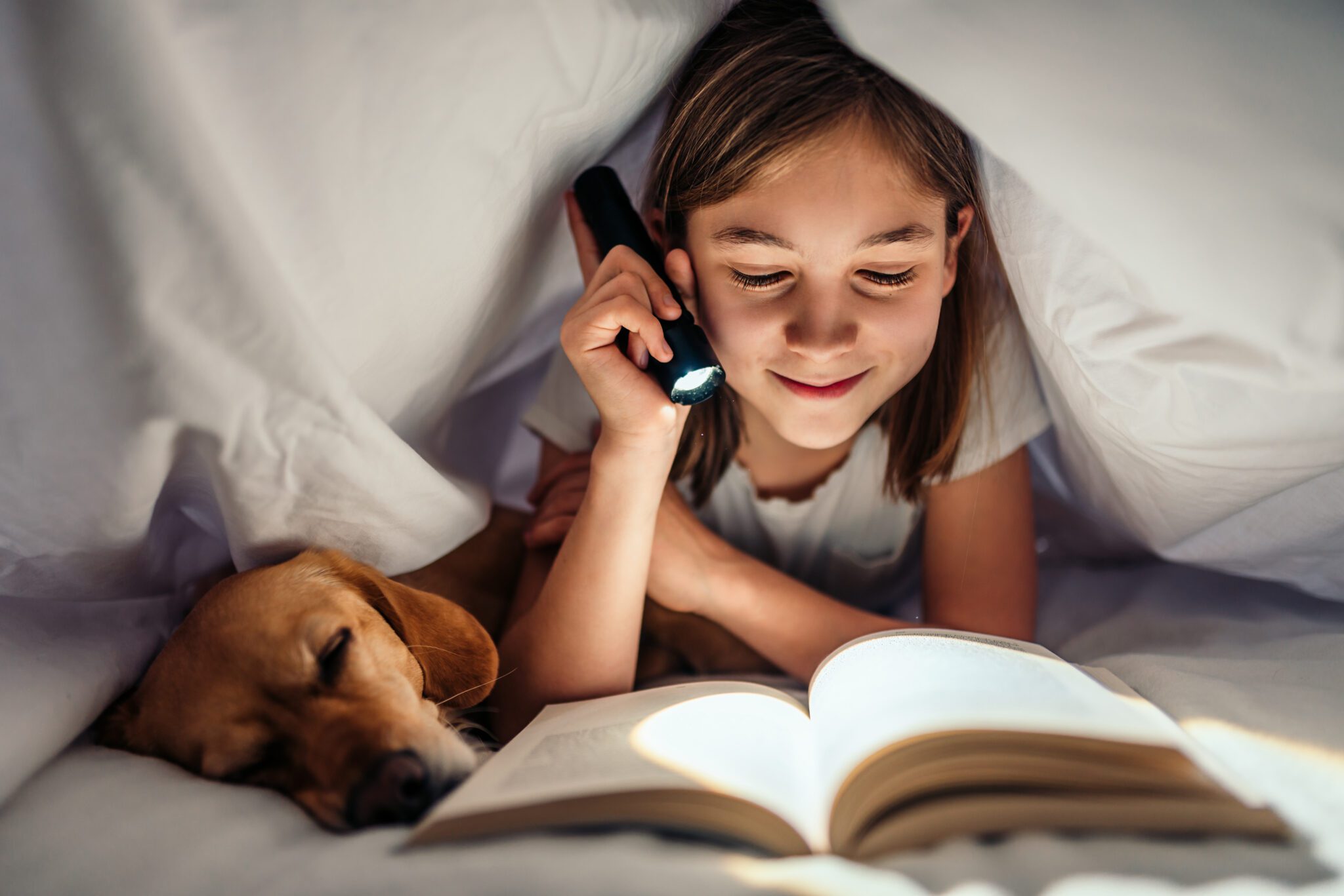 Girl lying in the bed with her dog under blanket reading book late at night Latarka LED Flashlight Pen Blitz