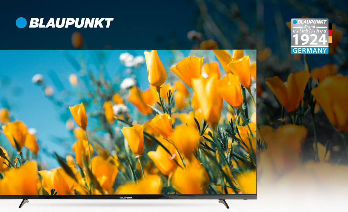 Tv 65 Blaupunkt WEB (7)
