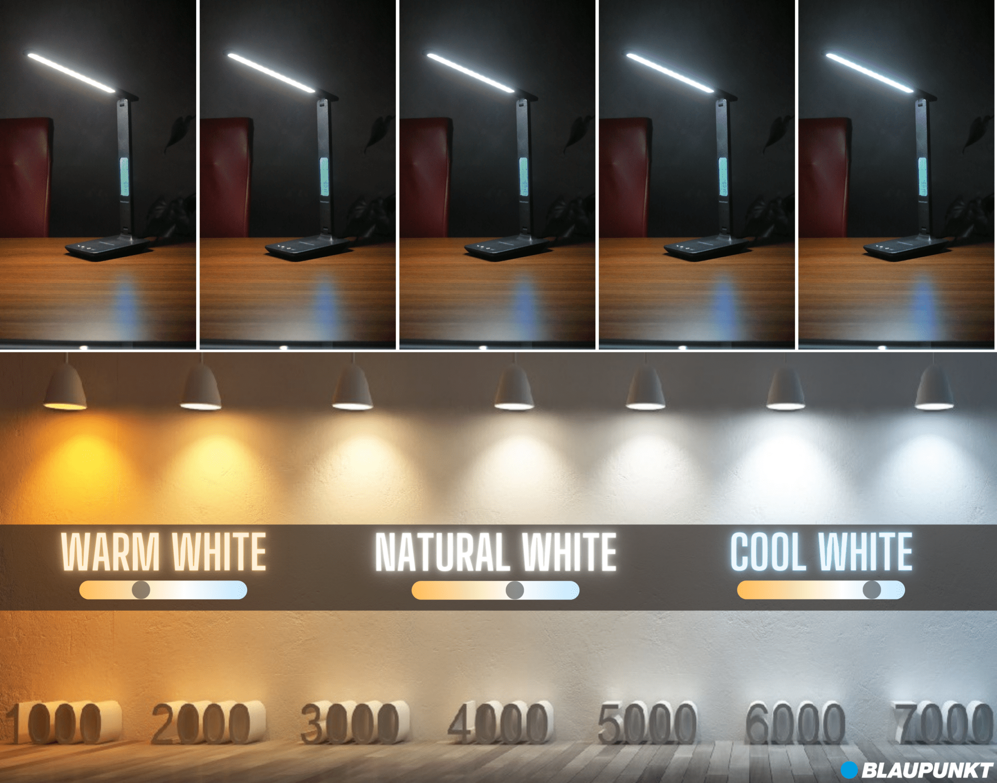 LED Desk Lamp
