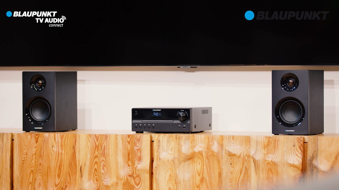BLAUPUNKT MS55SUB