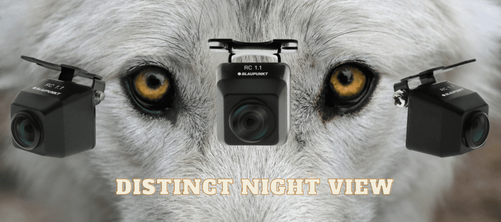 RC1.1 DISTINCT NIGHT VIEW