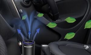 1657875898340sub