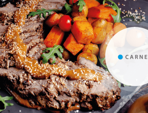 Carnes AirGourmet