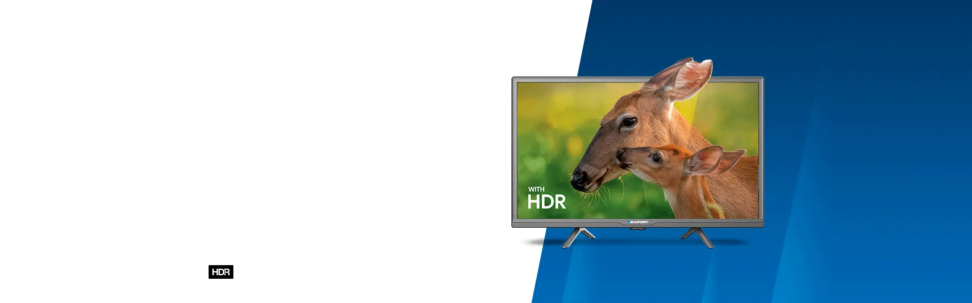 24hbg5000-rc-2