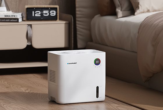 560×380 1